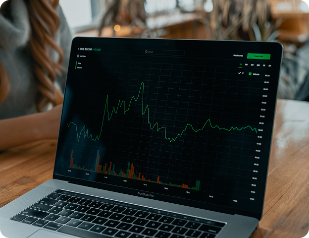 Document Verification